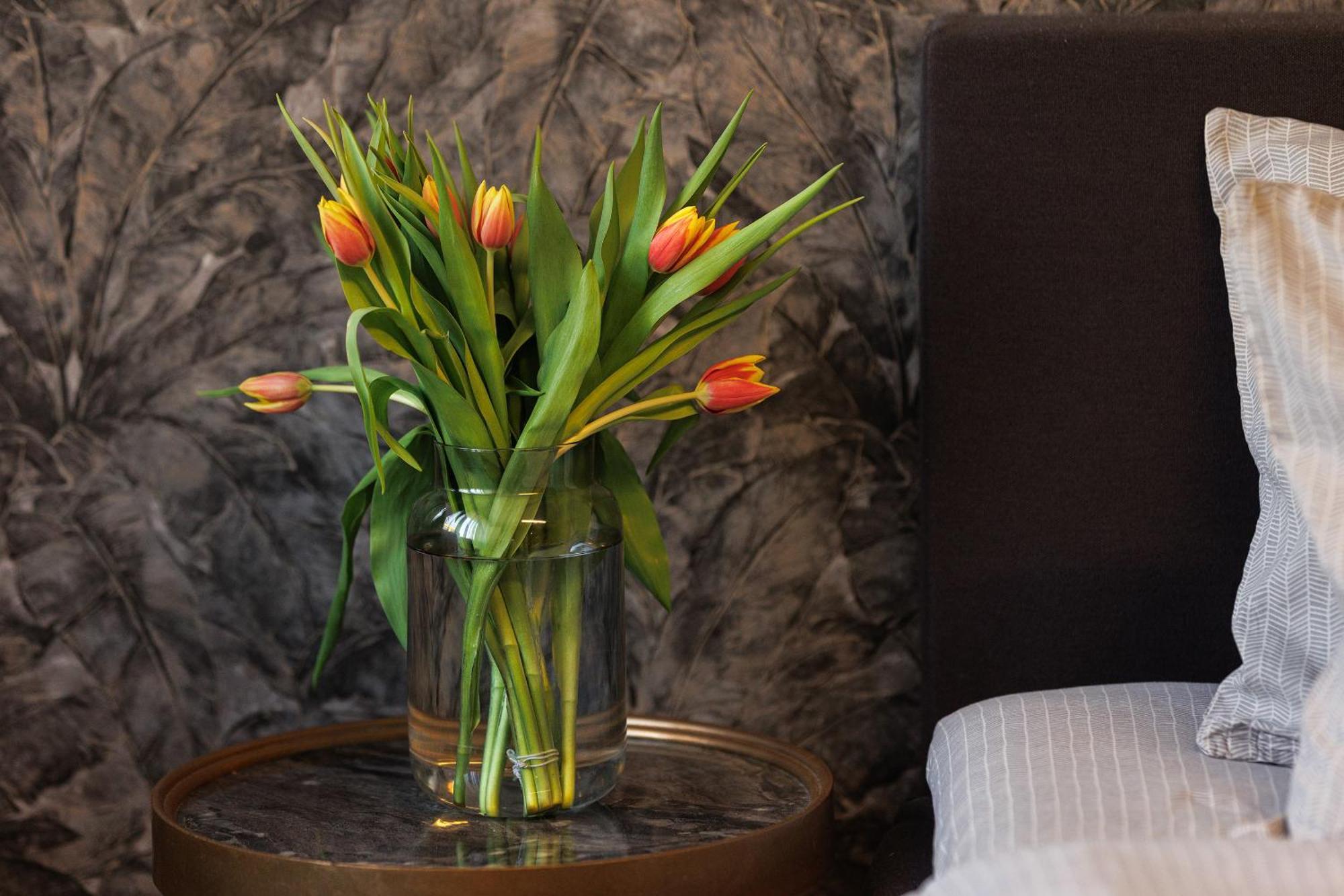 City Center Apartments With Parking Plovdiv Ngoại thất bức ảnh